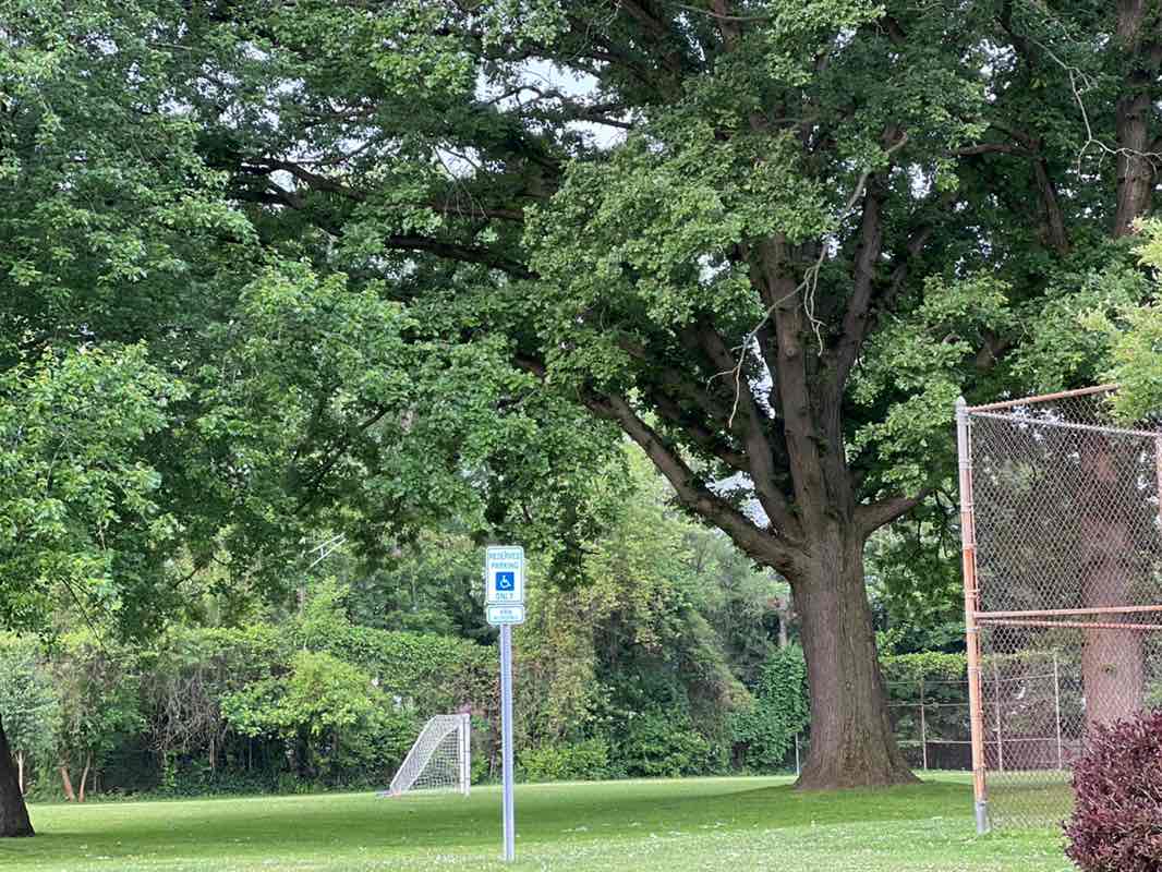 walking near me in Grant Park in summer