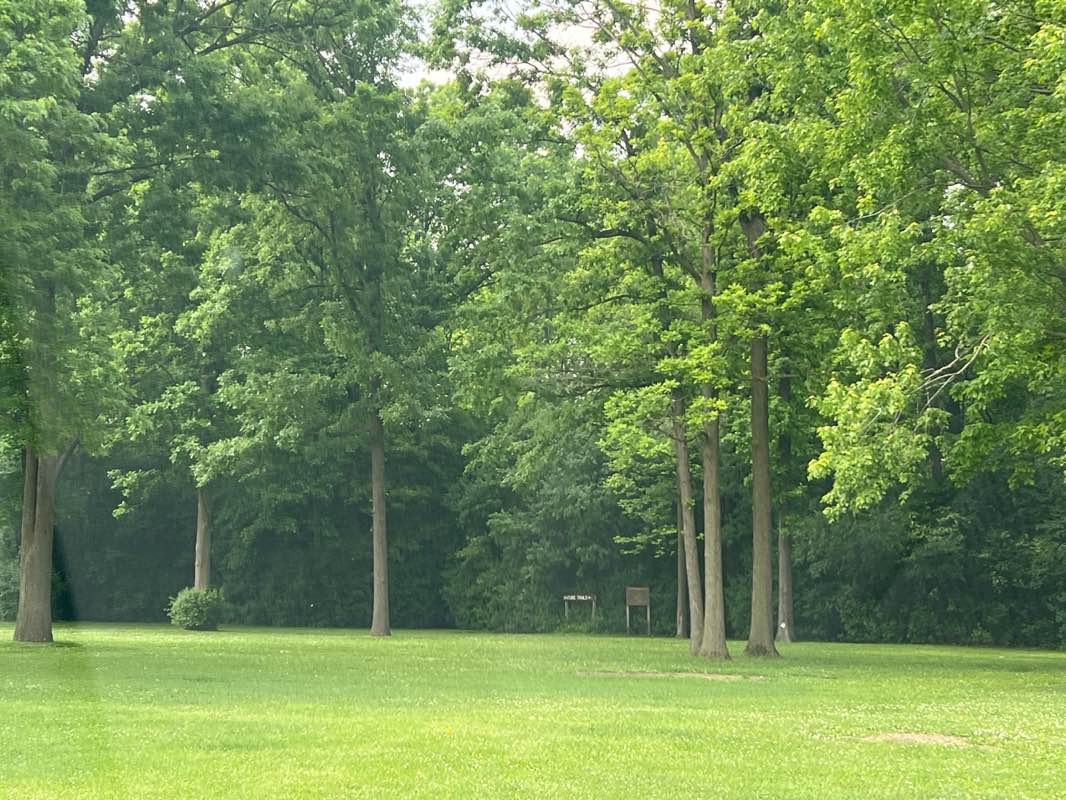 walking near me in Civic Center Park in summer