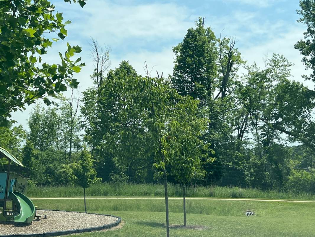 walking near me in Lakeshore Park in summer