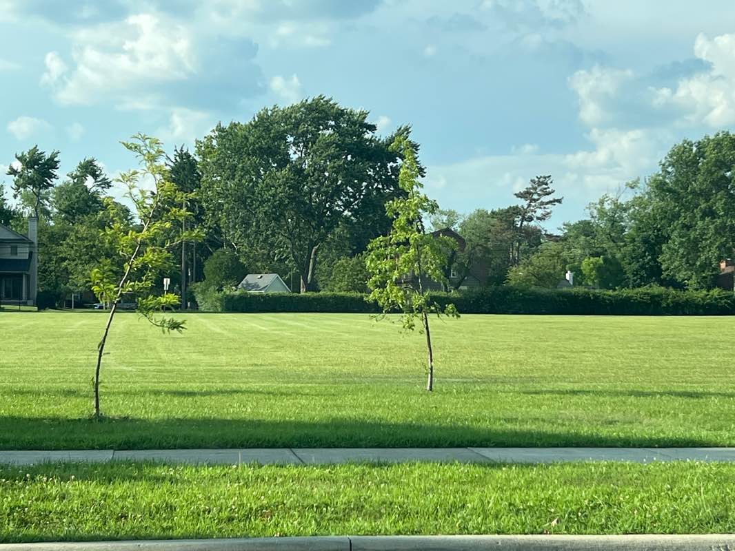 walking near me in Dickinson Park in summer