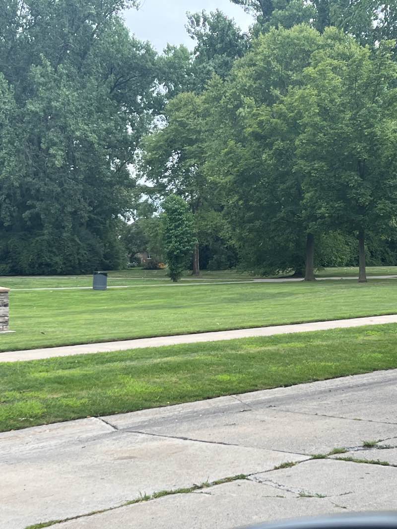 walking near me in Avis Park in autumn