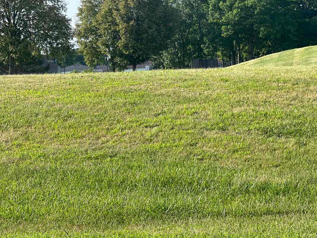 walking near me in Carpathia Park in autumn
