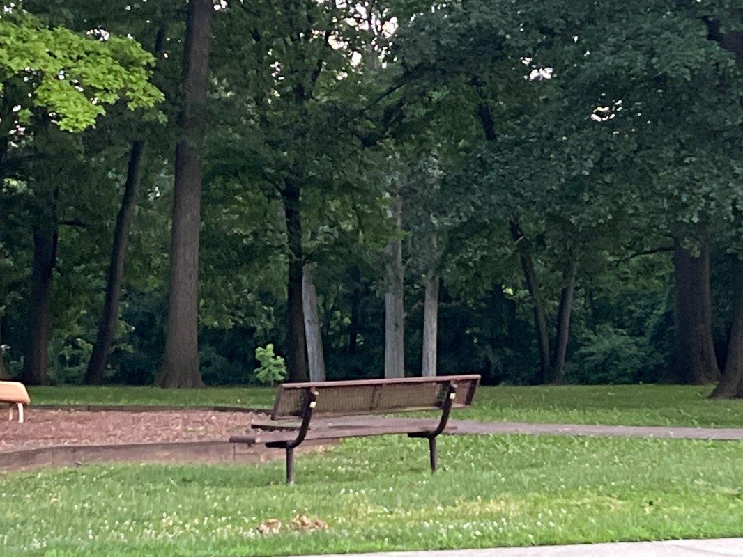 walking near me in Wagner Park in summer