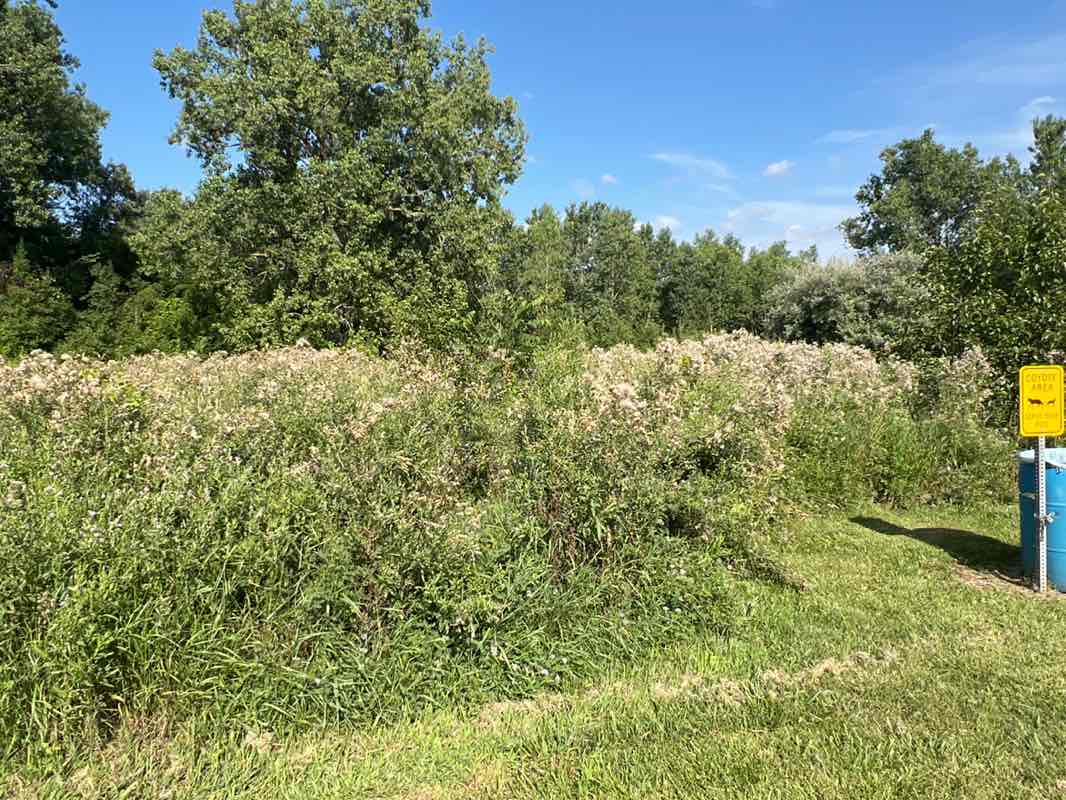 walking near me in Eugene S. Nowicki Park in autumn