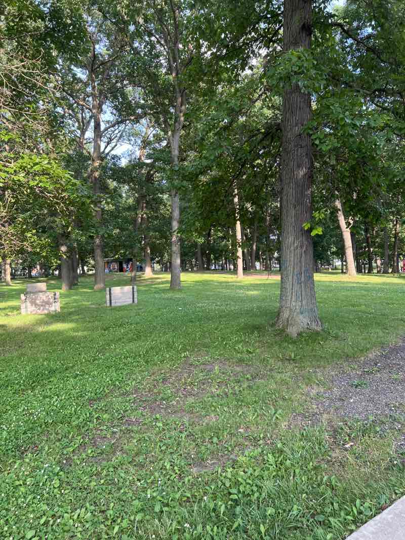 walking near me in Oakland Park in summer