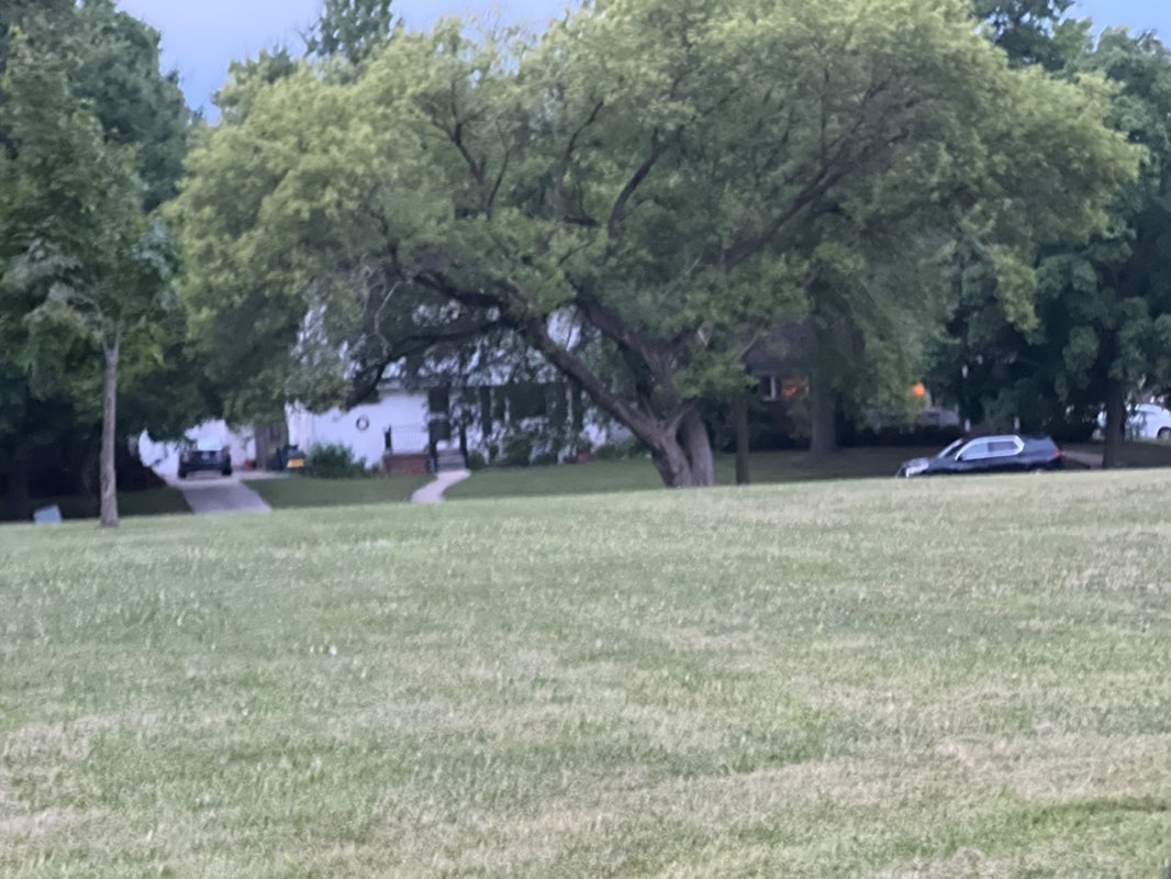 walking near me in Maudlin Park in autumn