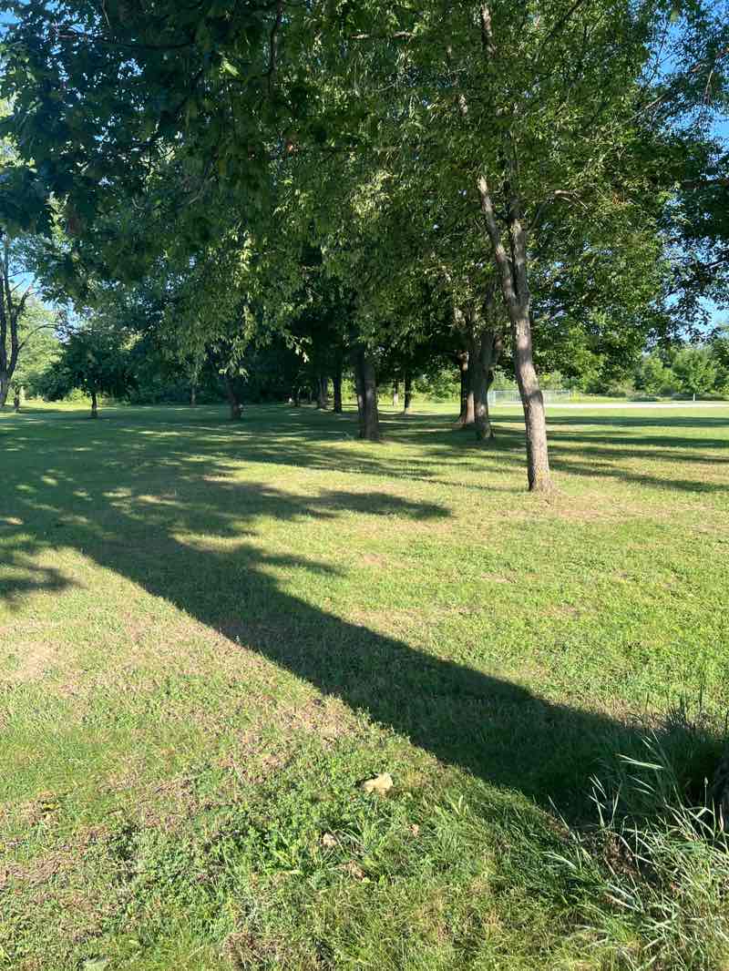 walking near me in River Bends Park in autumn