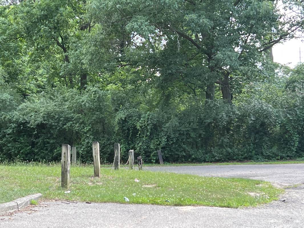 walking near me in Murphy Park in summer