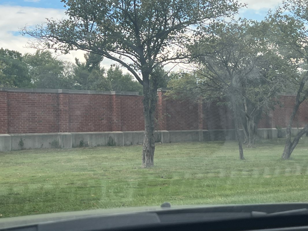 walking near me in Golden Gate Park in autumn