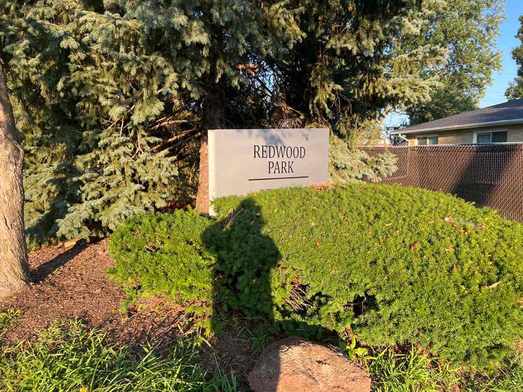 walking near me in Redwood Park in autumn