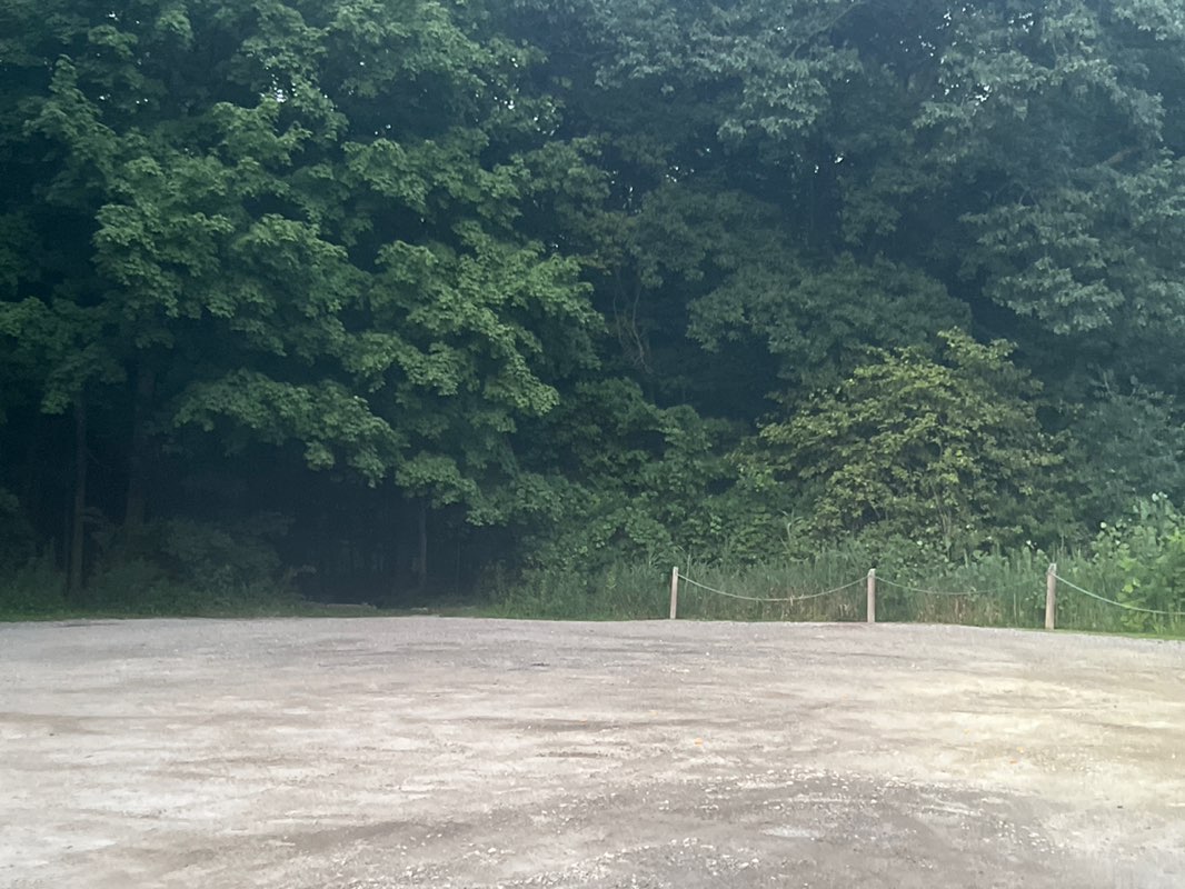 walking near me in Clinton River Park North in autumn