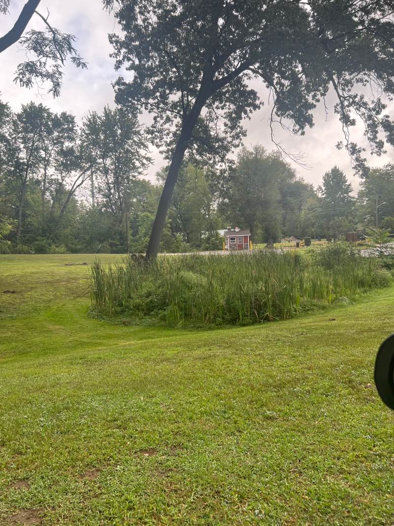 walking near me in Dodge #4 State Park in autumn