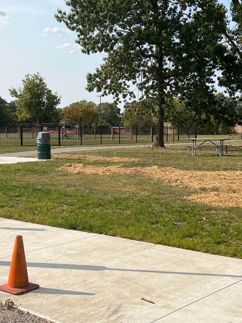 walking near me in Lahser Woods Park in autumn