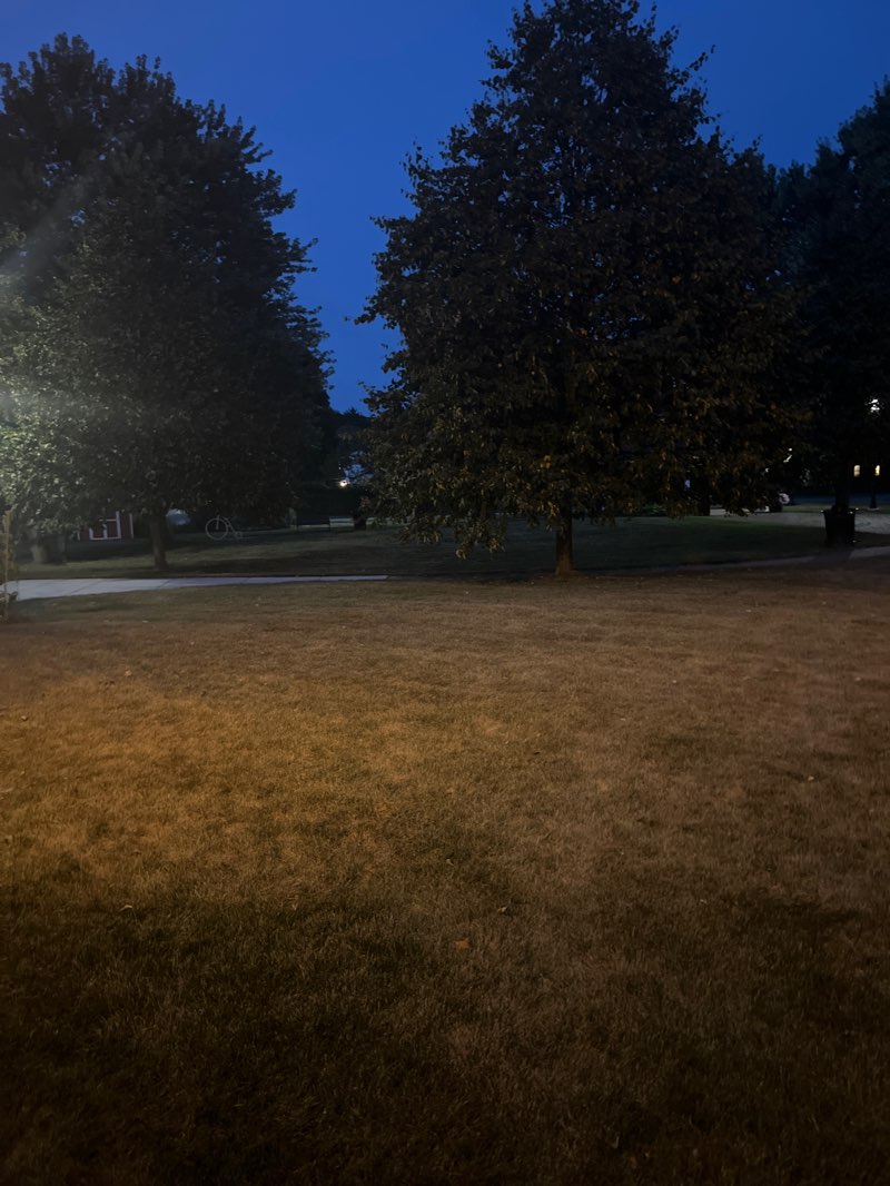 walking near me in Municipal Park in autumn