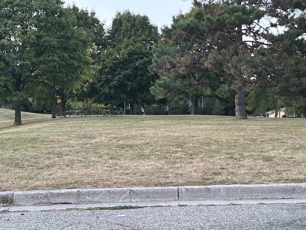 walking near me in Charlotte M. Rothstein Park in autumn