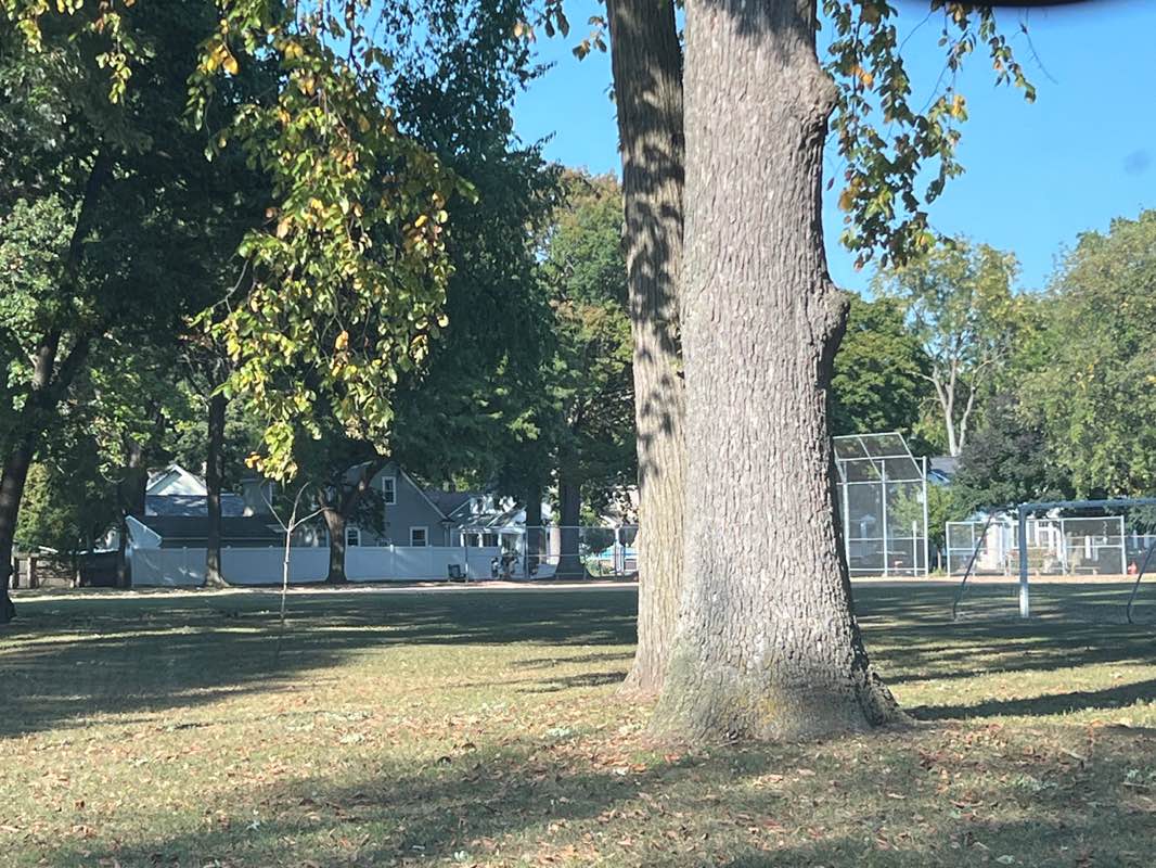 walking near me in Dondero Park in autumn