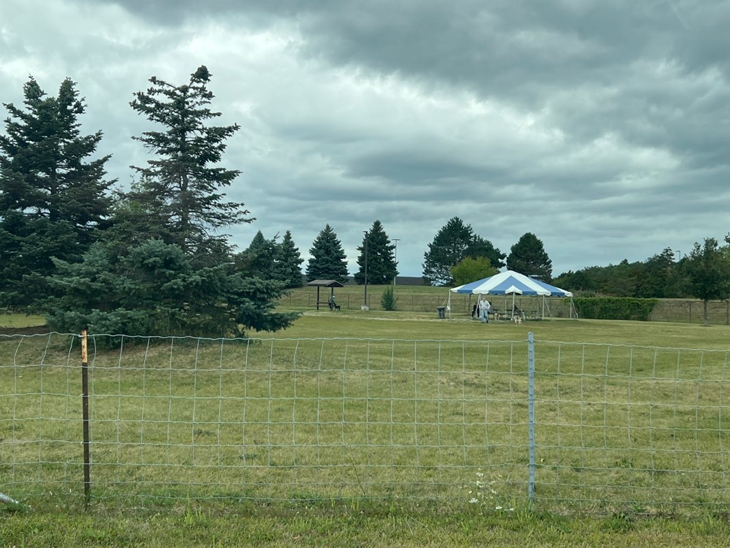 walking near me in Red Oaks Dog Park in autumn
