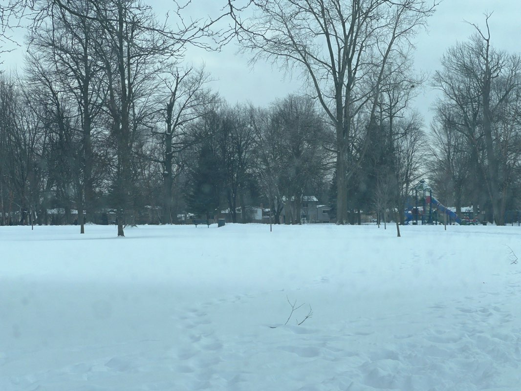 walking near me in Magnolia Park in winter