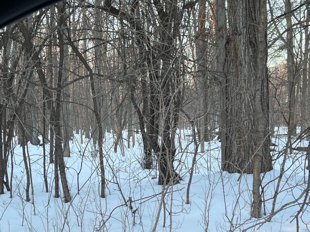 walking near me in Schroeder Park in winter