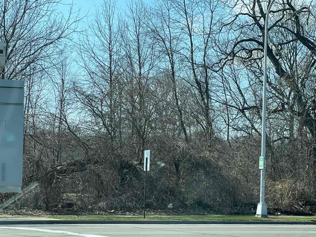 walking near me in Palmer Park in spring