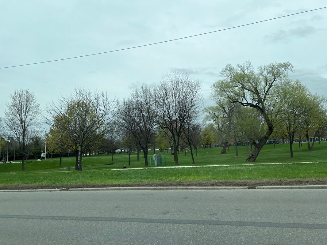 walking near me in Memorial Park in spring