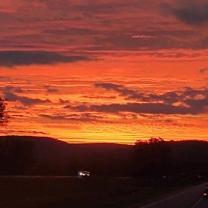 jcook130 ❤🌈🐕