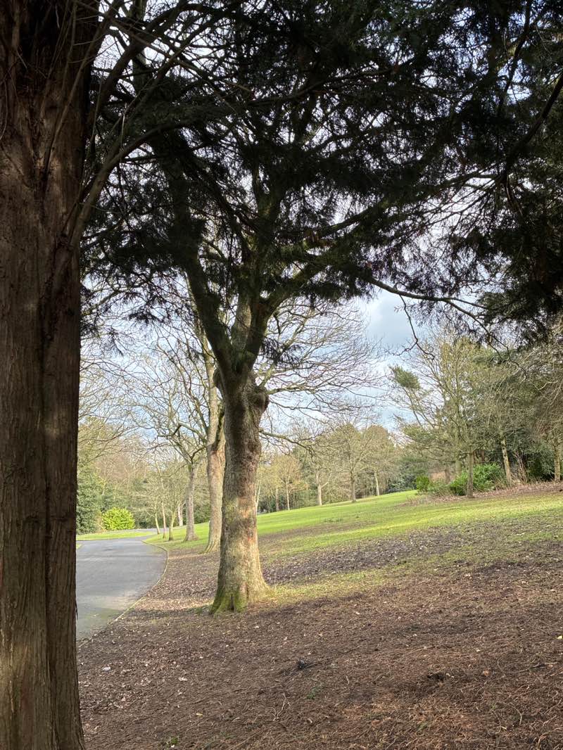 walking near me in Barnes Park Extension in winter