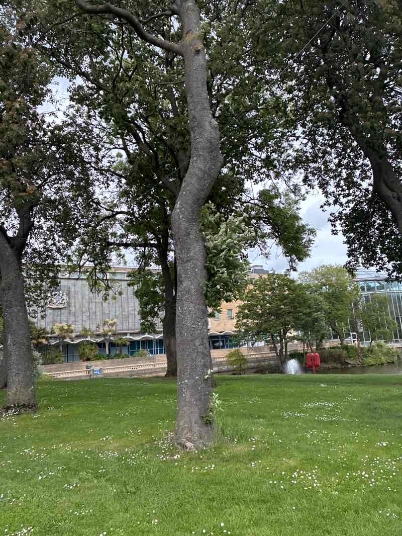 walking near me in Mowbray Park in summer