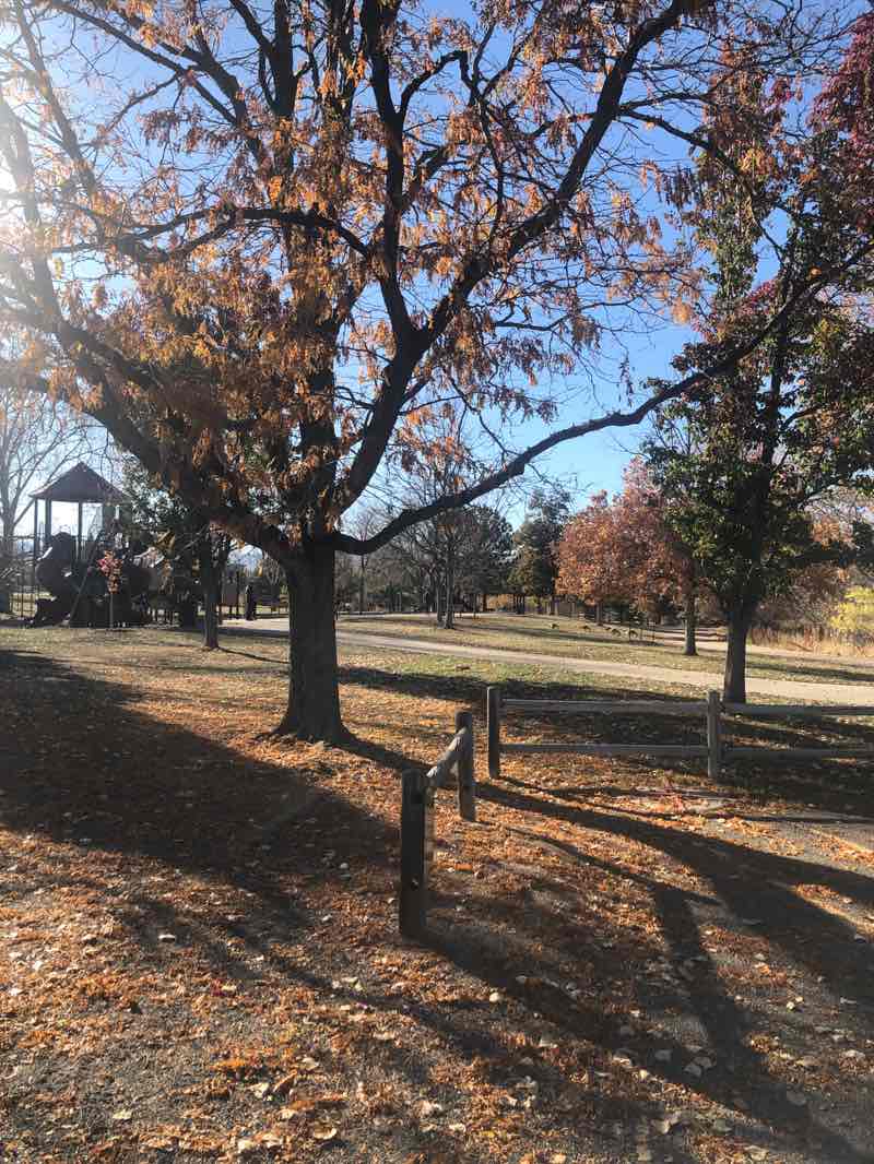 walking near me in Kendrick Lake Park in autumn