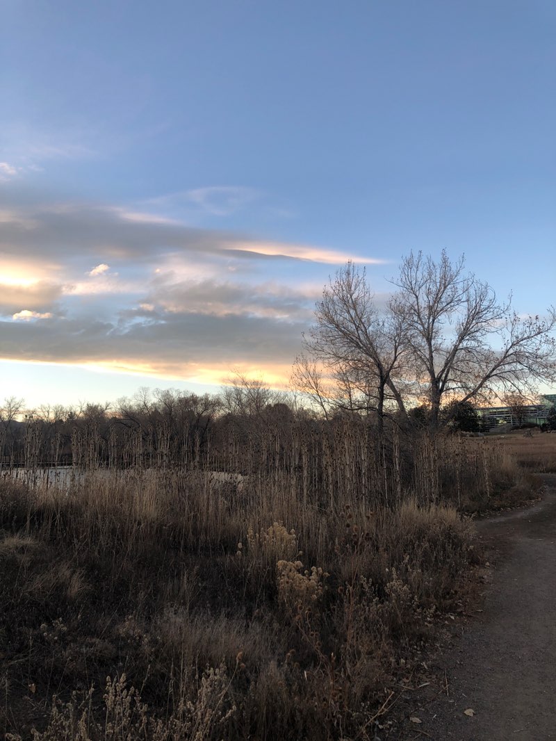 walking near me in Belmar Park in autumn