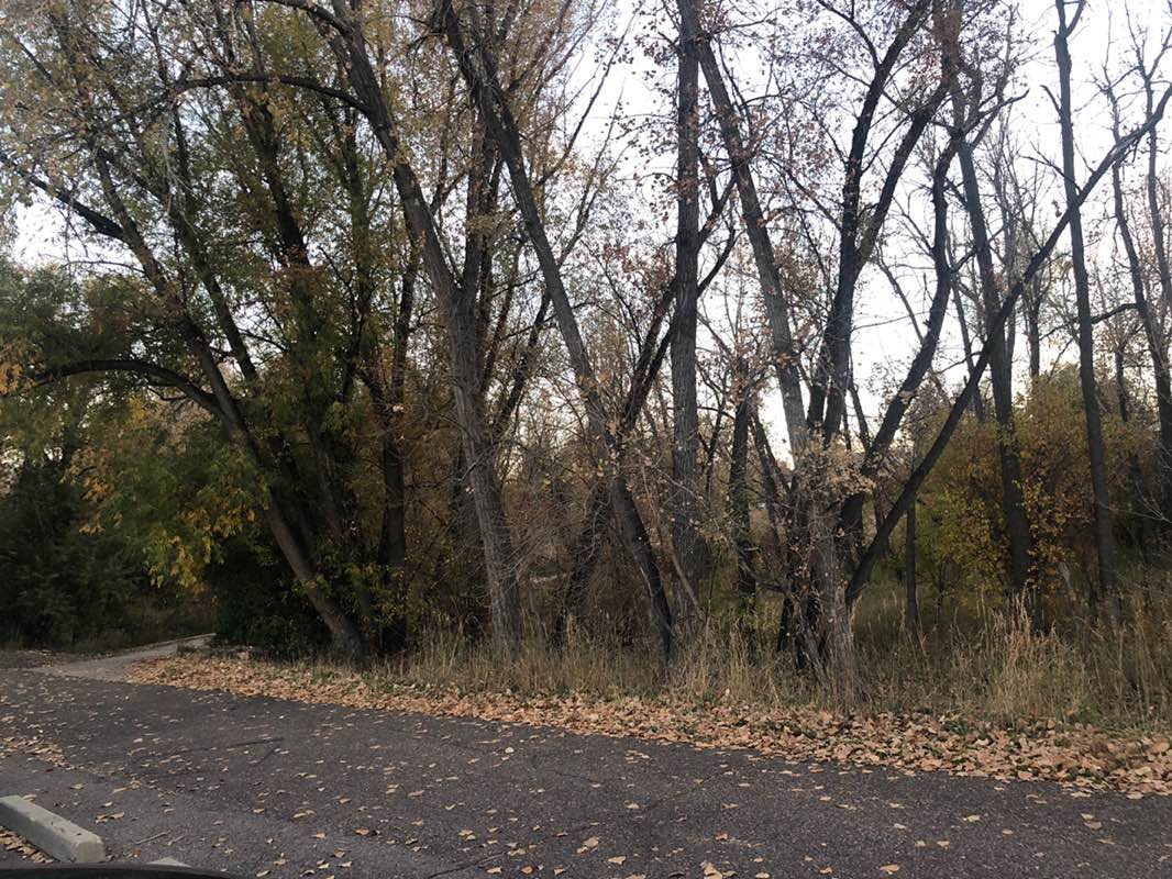 walking near me in Bear Creek Park and Trail in autumn