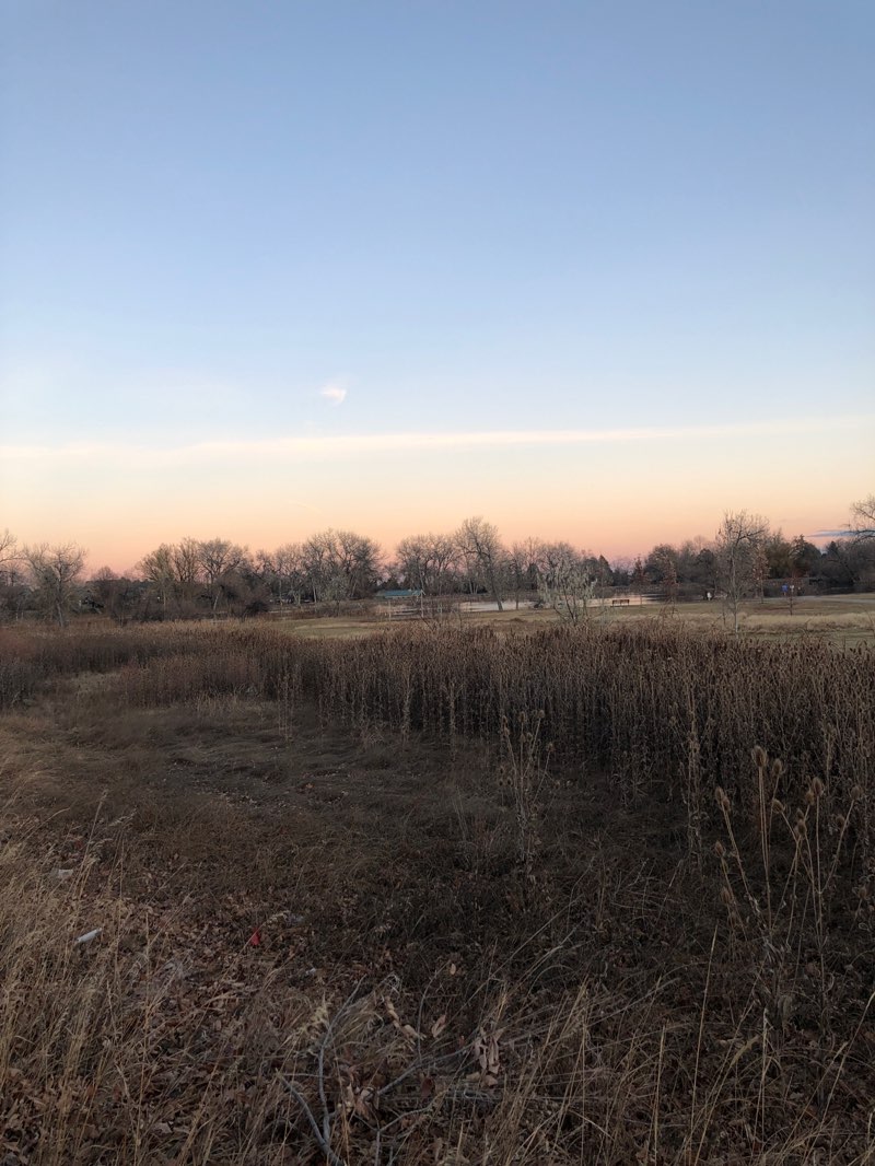 walking near me in Cottonwood Park in autumn