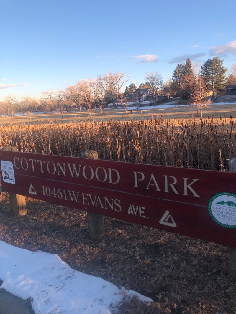 walking near me in Cottonwood Park in winter