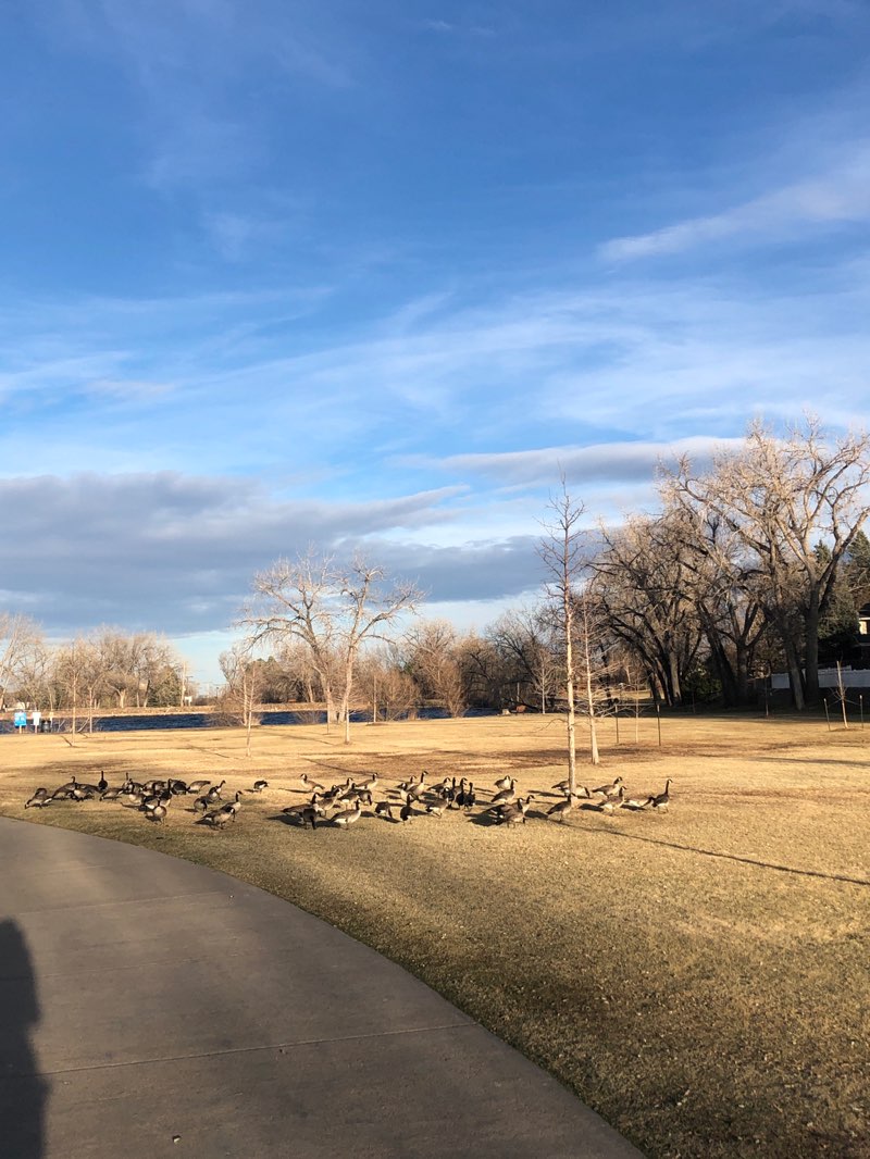 walking near me in Cottonwood Park in spring