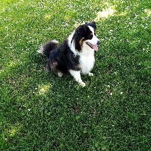 Hélène  du 78 🌷🌷