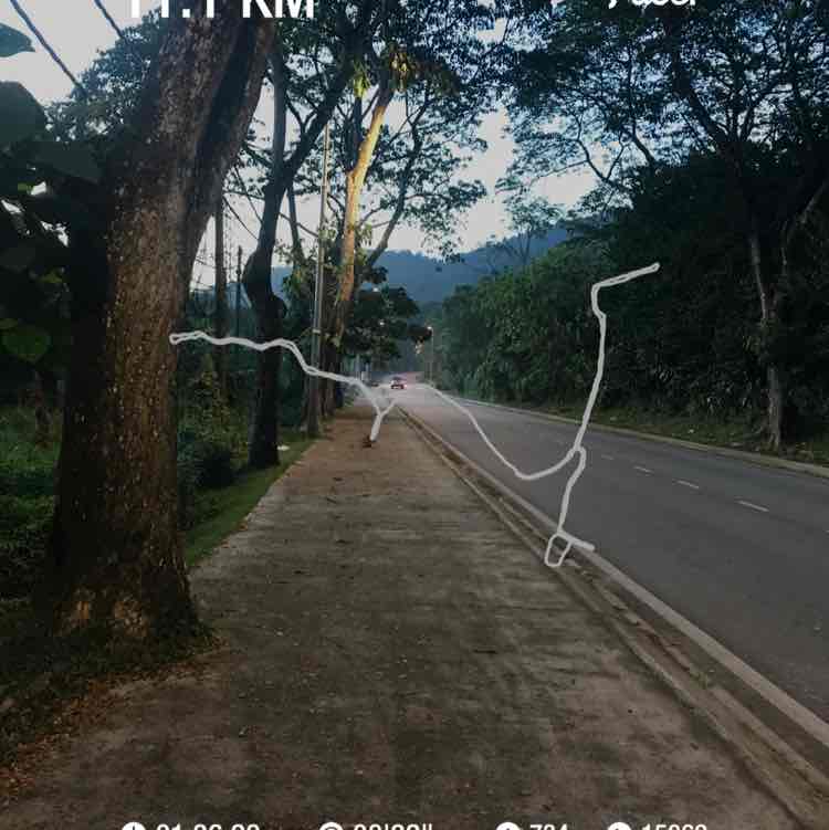 智勇CY 🇲🇾1991🌟 post 1