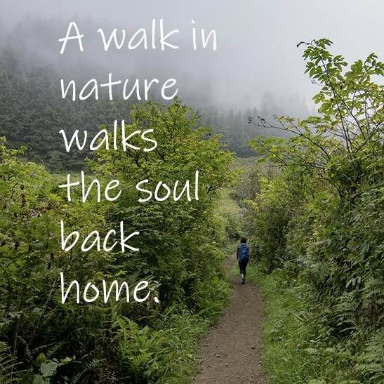 𝐂𝐎𝐍𝐒𝐈𝐒𝐓𝐄𝐍𝐂𝐘 ✨. Zahraa post image