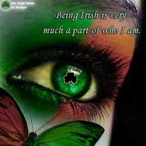 Aoidh🧣🇮🇪  ☘️ icon