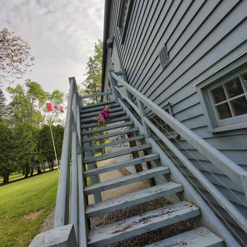 Walking club Jenn post image