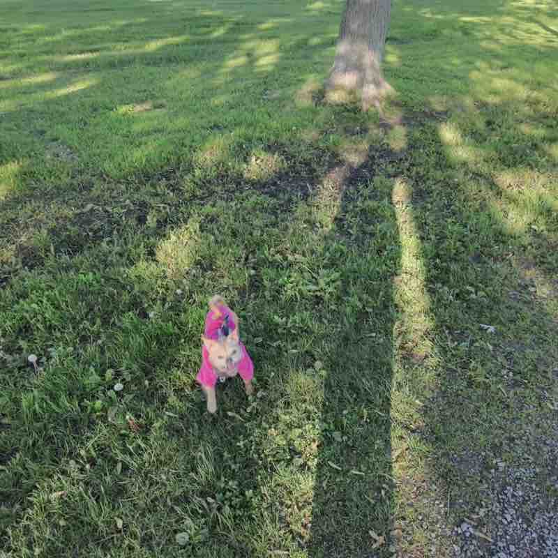 Walking club Jenn post image