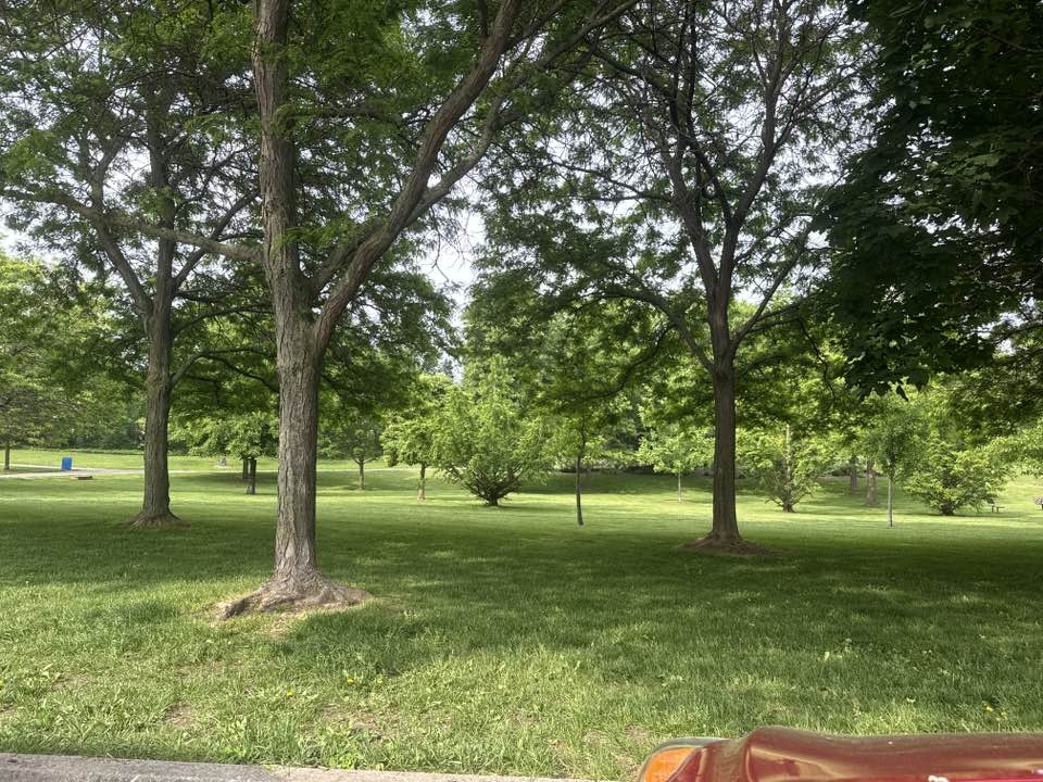 walking near me in Jaycee Gardens Park in summer