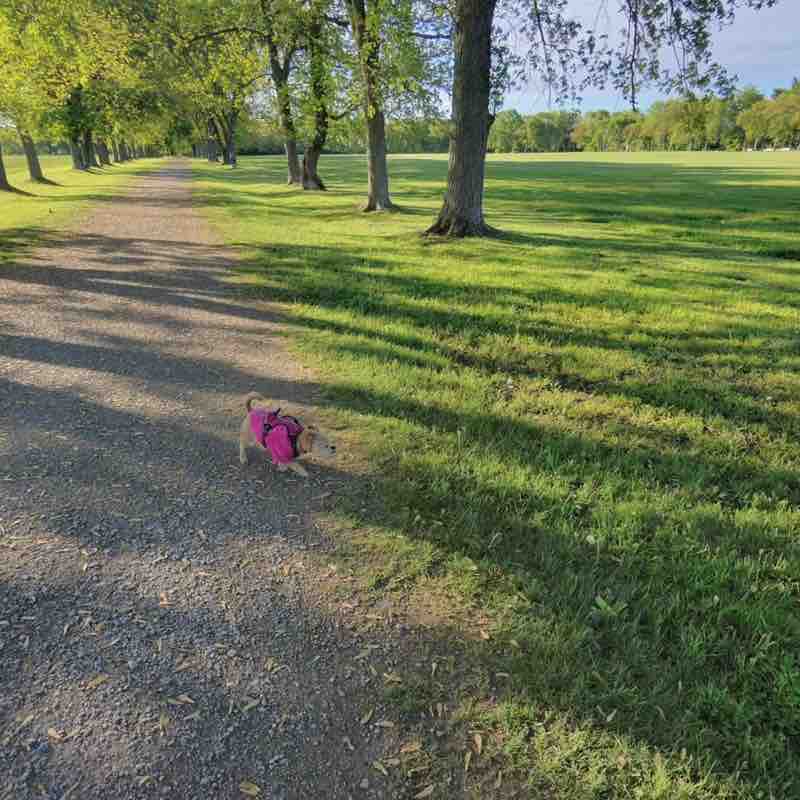 Walking club Jenn post image