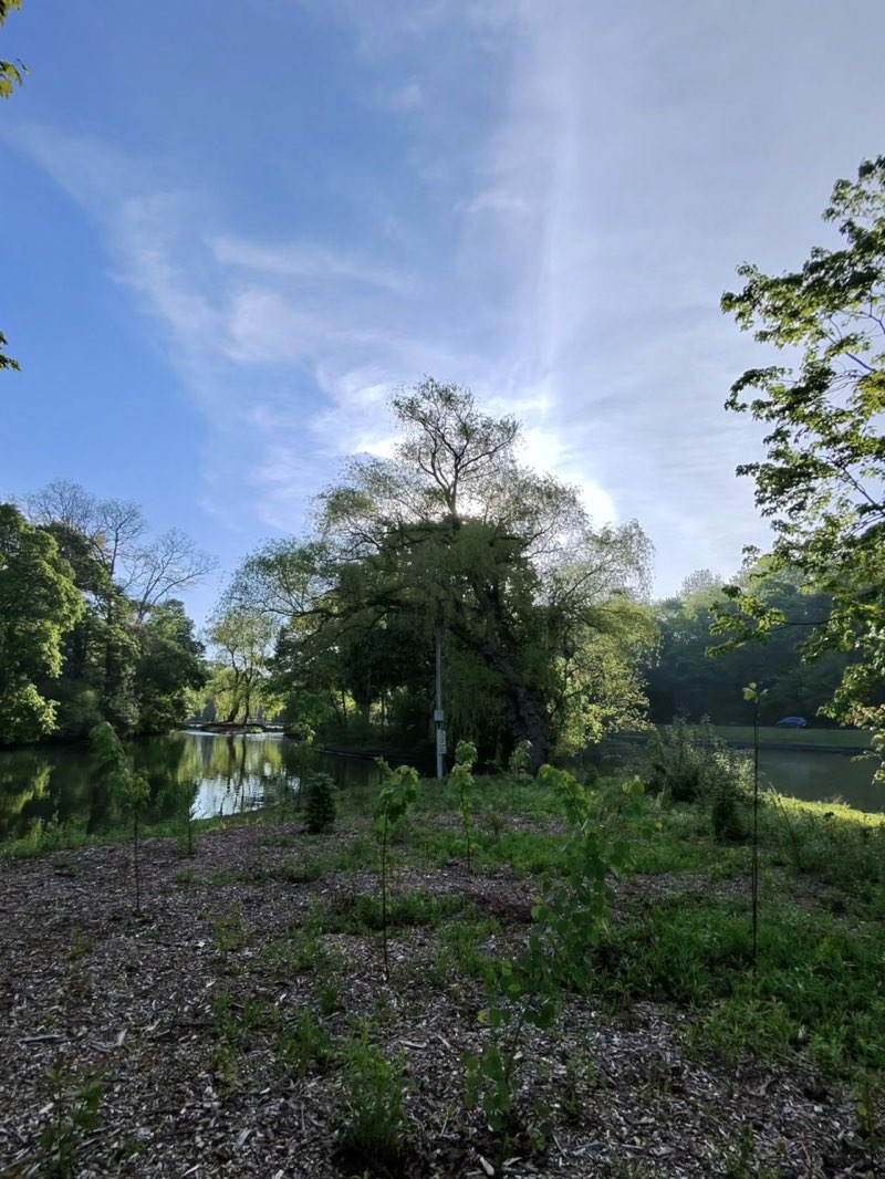 walking near me in Dufferin Islands in summer