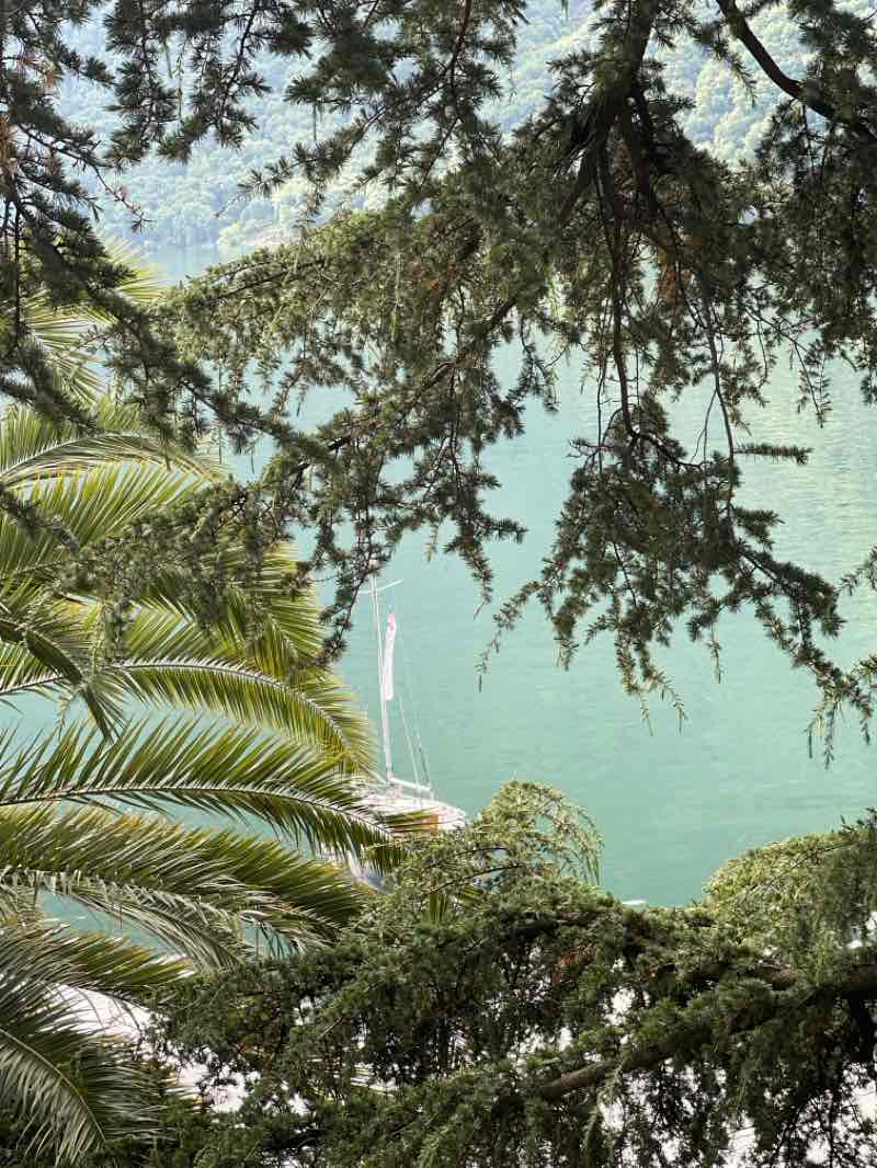 walking near me in Parco degli Ulivi in spring