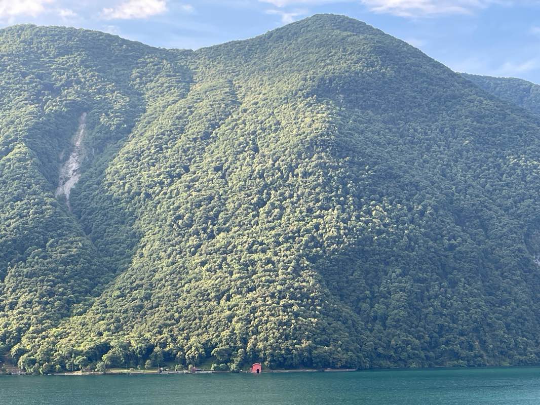 walking near me in Parco Civico Villa Ciani in summer