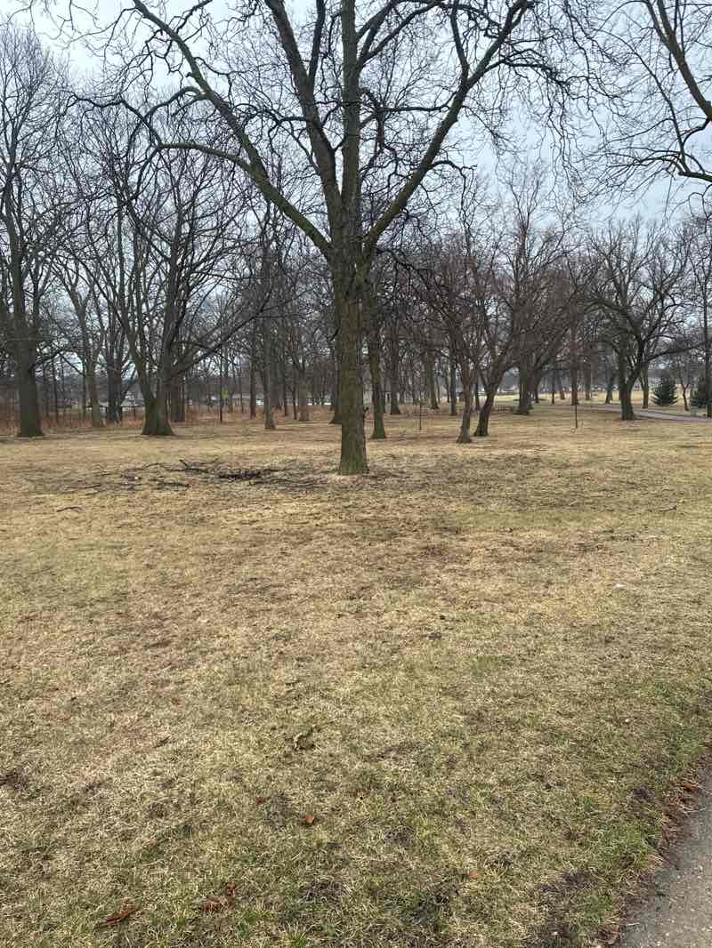walking near me in Pulaski Park (Cudahy) in spring
