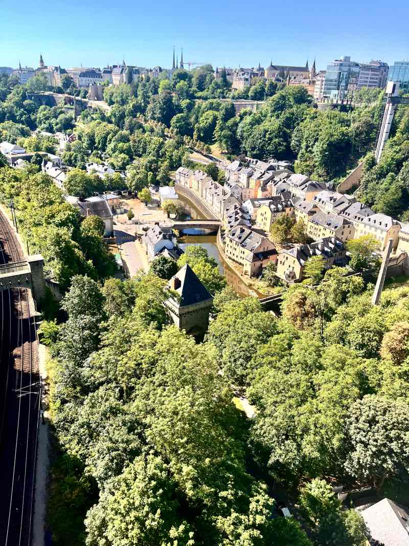 walking near me in Arboretum Kirchberg Parc Central in winter