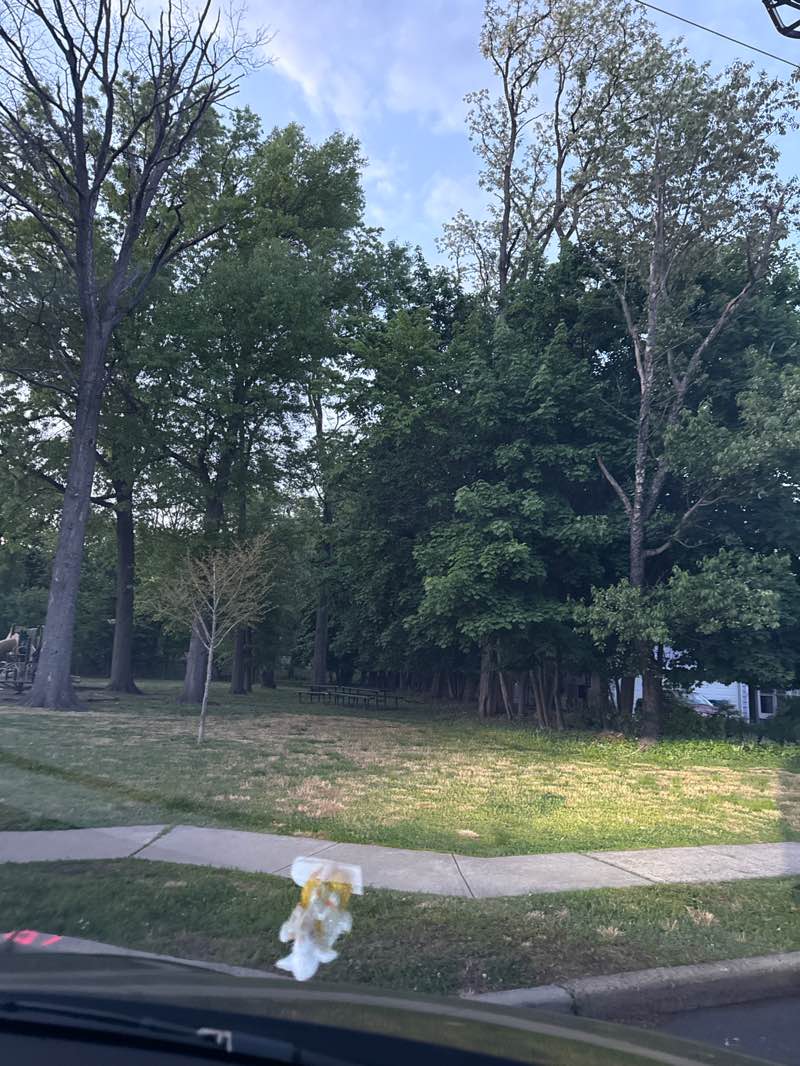 walking near me in Olmezer Park in spring
