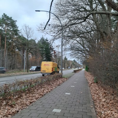 Polska 🇵🇱 Tomek post image