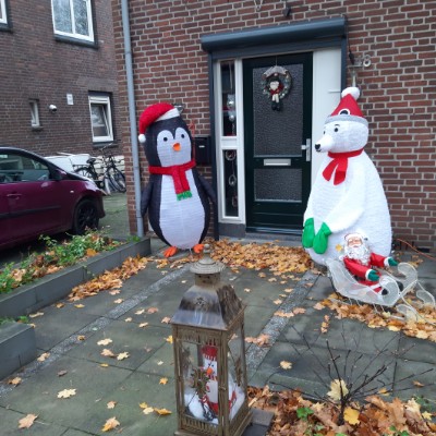 Polska 🇵🇱 Tomek post image